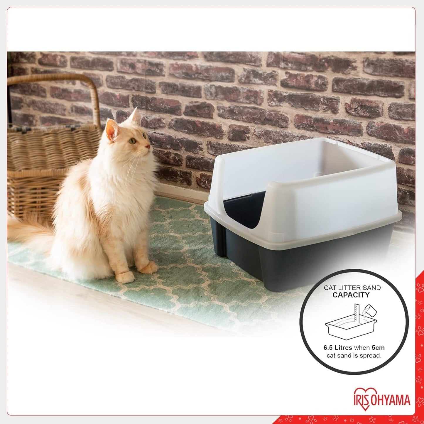 , Litter Box, Tray for Cat, Plastic (PP) Bpa-Free, Scoop, CLH-12, Open Top, Grey