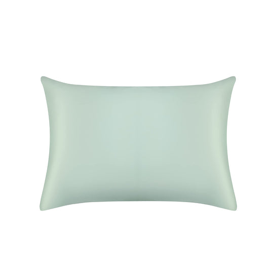 Jasmine Silk 100% 19 Momme Mulberry Charmeuse Silk Pillowcase for Hair and Skin 50 cm x 75 cm Envelope Closure - RRP £35 (Duck Egg) 50 x 75 cm Duck Egg