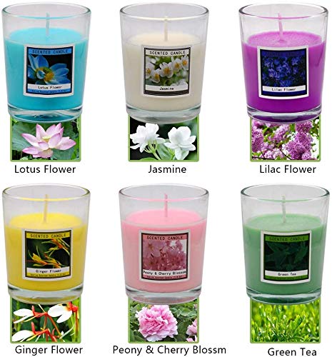 Onlywax Scented Candles, Soy Wax Aromatherapy Glass Candle Gift Set, Ginger Flower, Lotus, Jasmine, Tea, Lilac, Peony&Cherry, Pack of 12