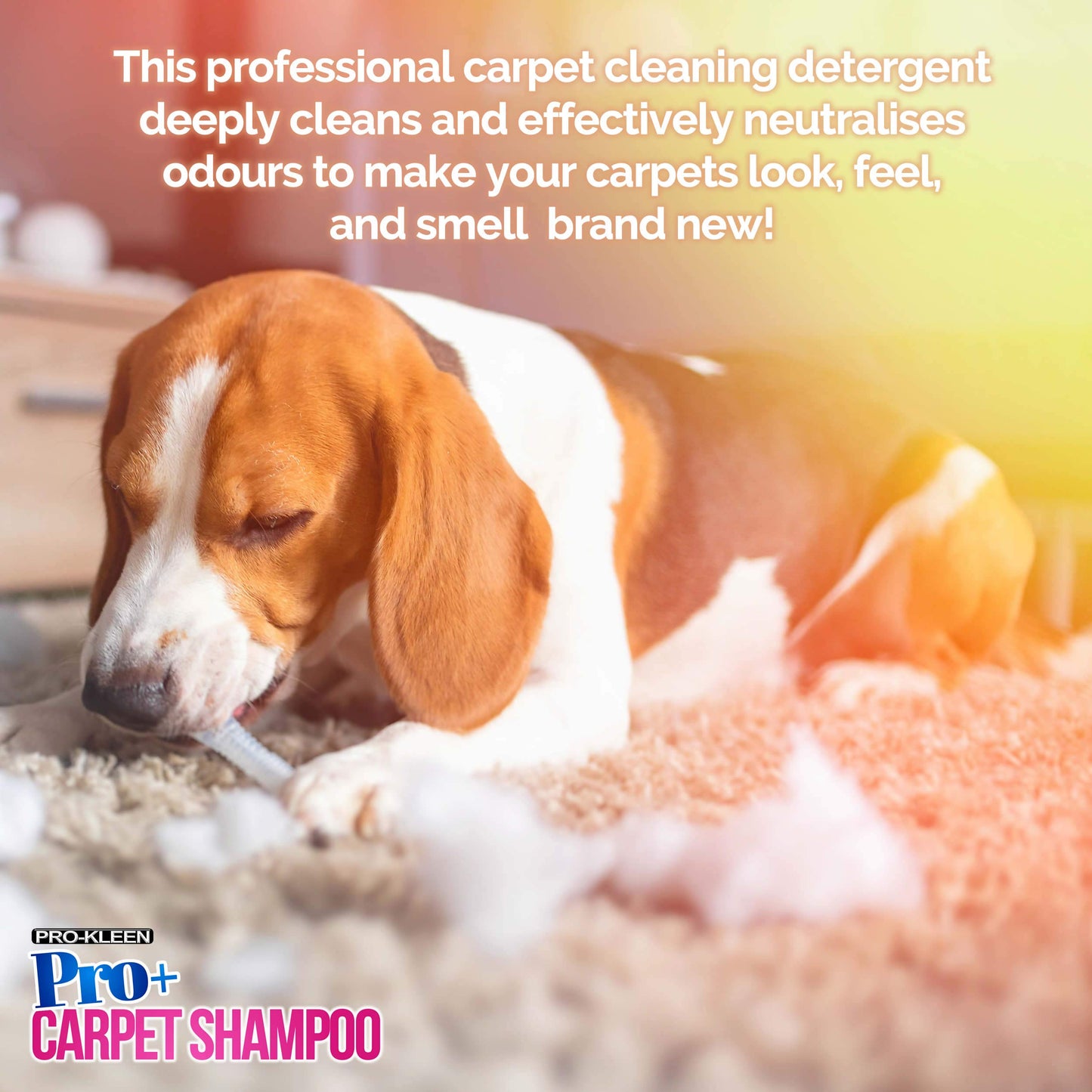 Pro-Kleen Pro+ Carpet Shampoo and Upholstery Cleaning Solution – 4 in 1 Concentrate – Pet Carpet Cleaner with Odour Removal Suitable for All Machines 5L (Spring Bloom) 5 l (Pack of 1)