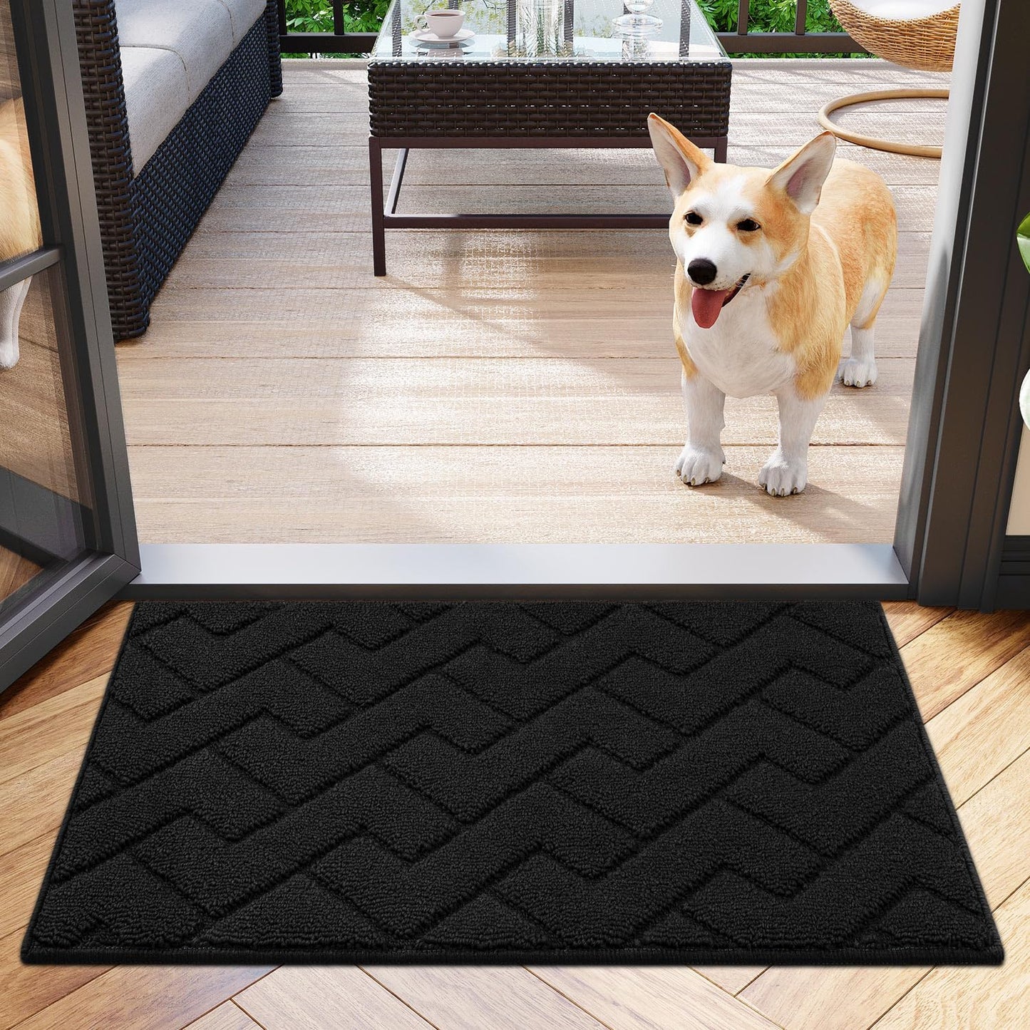 Biscpro Door Mat 50 X 80 cm, DoorMat Indoor Washable, Doormat Indoor Dirt Trapper Non-slip, Absorbent Inside Entrance Rug Mat for Entryway, Patio, Garden, laundry Room,Pets - Black