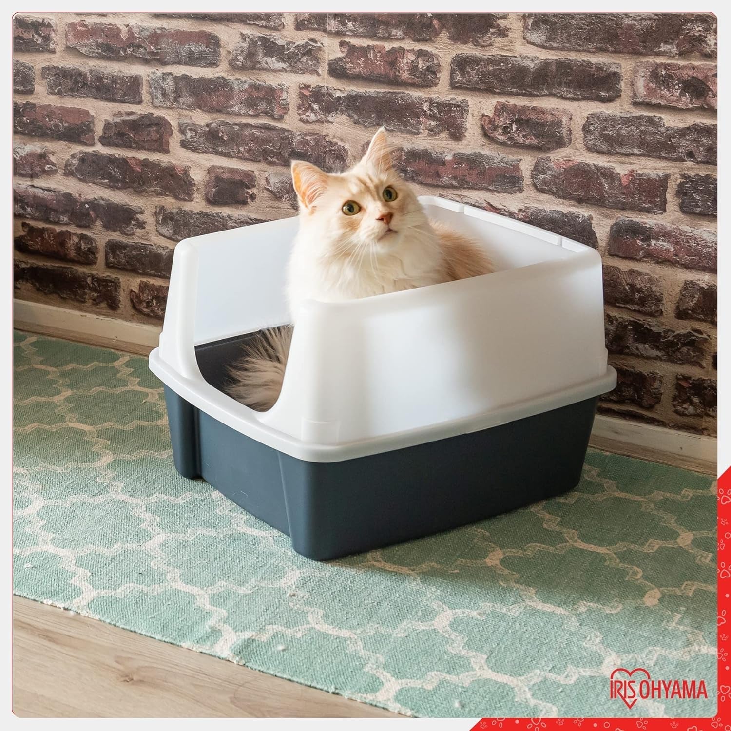 , Litter Box, Tray for Cat, Plastic (PP) Bpa-Free, Scoop, CLH-12, Open Top, Grey